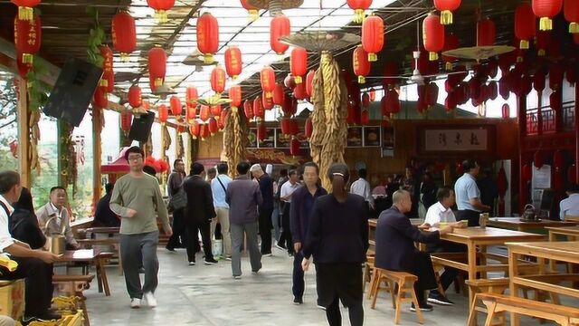 乡村旅游 田园生活变为旅游经济