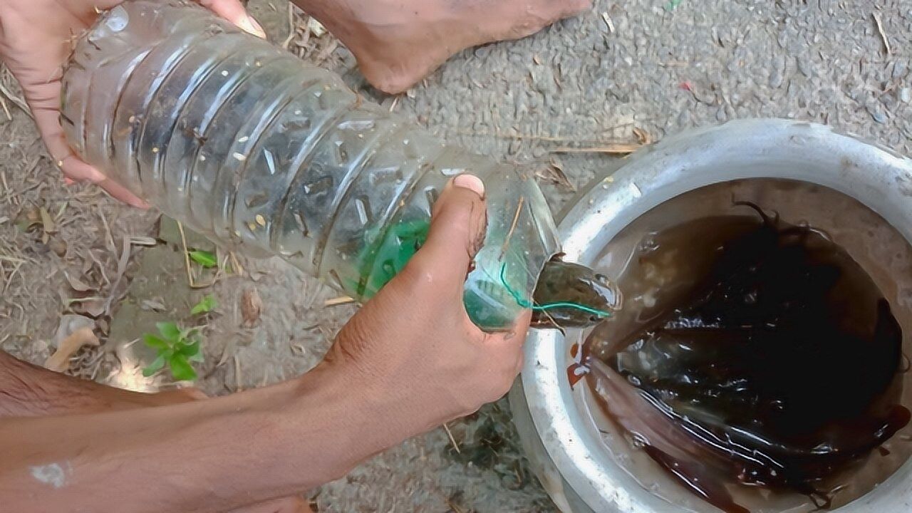 用塑料瓶制作捕鱼装置,屡试不爽!