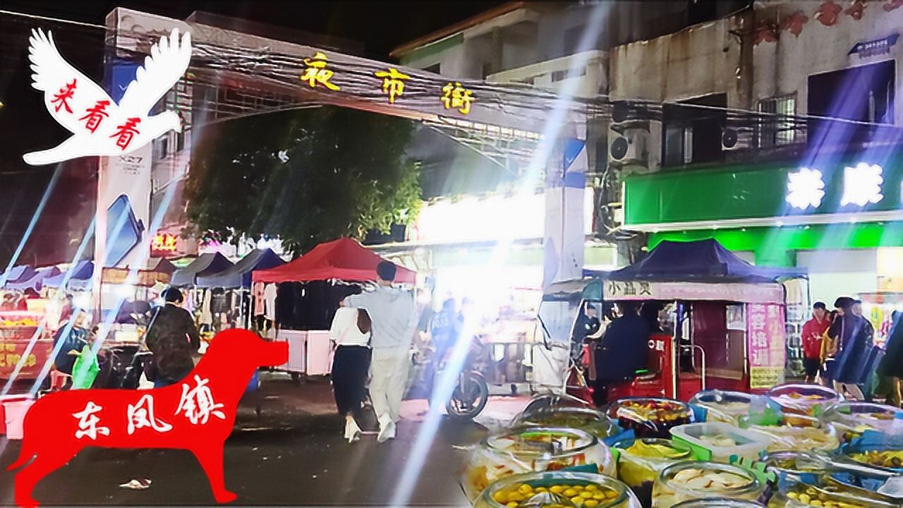 中山市东凤镇夜市街是这样的有钱人不想去知道逛街的是什么人吗