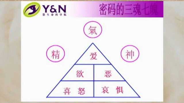 什么是命数,生日数字应该怎么计算?专家教你1分钟学会