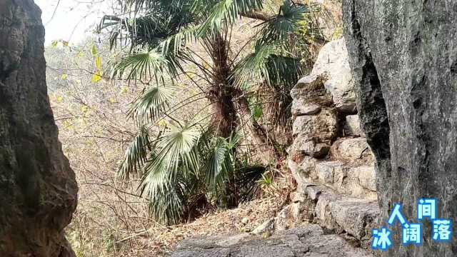 池州的齐山景区有个通天洞,小伙孤身一人去探险,还挺刺激