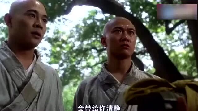 钱小豪最成功电影之一,演技完全不输主演李连杰