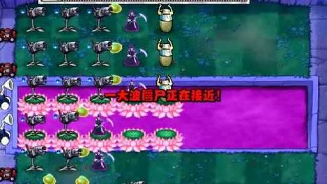 植物大战僵尸魔幻版:玩玩小游戏,隐形的僵尸!