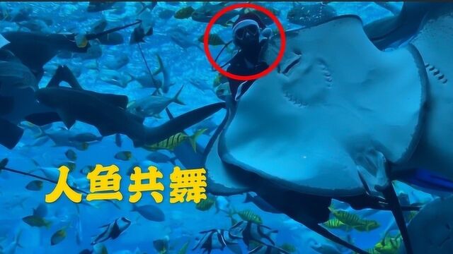 三亚最贵的酒店水族馆,里面有280种海洋生物,人鱼共舞太壮观了