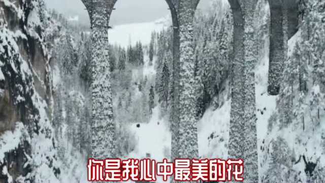 雪域情歌王子雨禾《雪莲花》天籁之音,好听极了