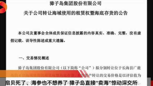 扇贝死了、海参也不想养了 獐子岛直接“卖海”惊动深交所