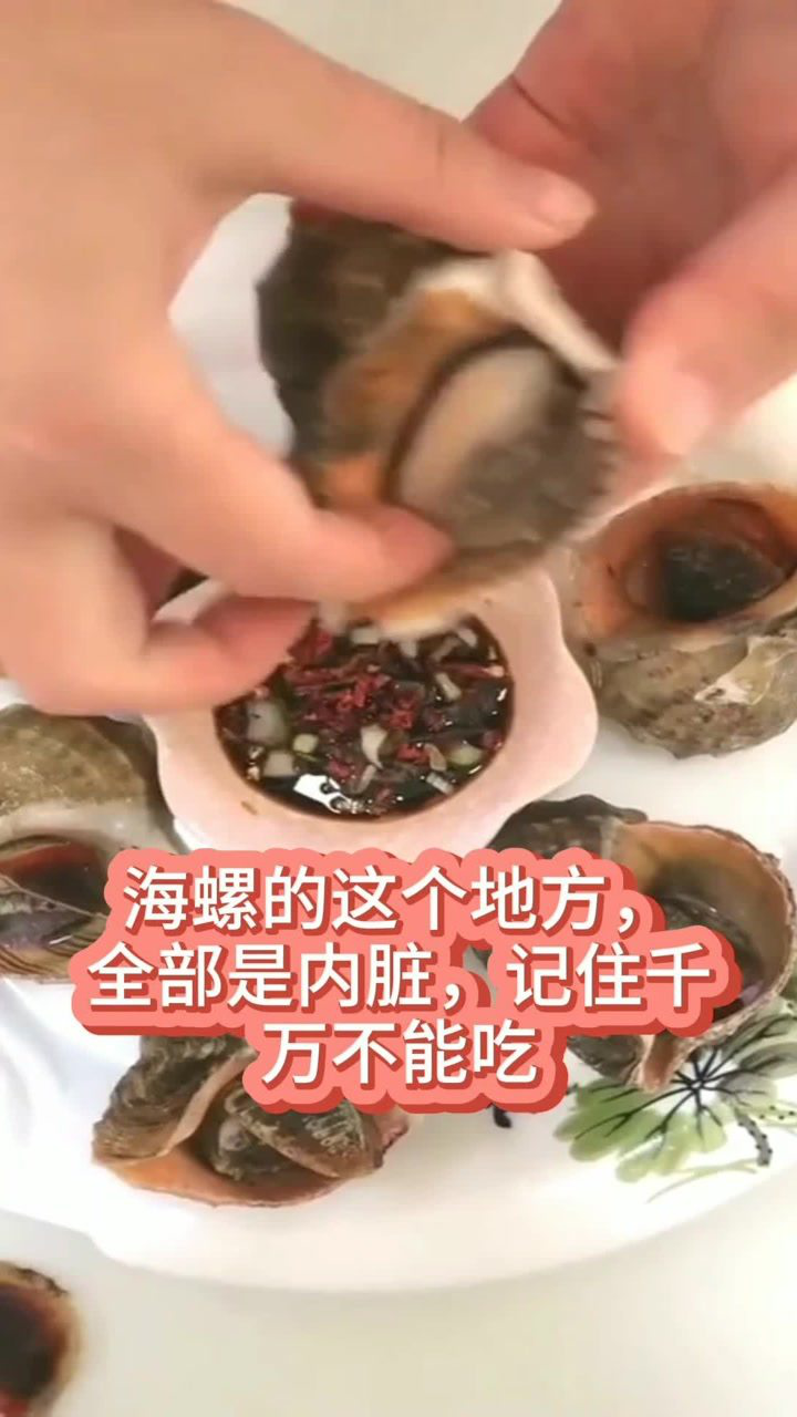 海螺的这个地方全部是内脏记住千万不能吃