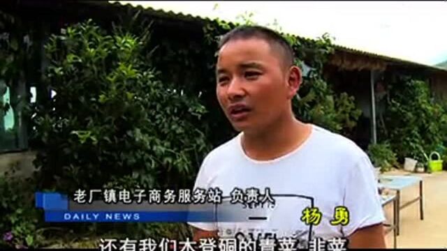 老厂镇:搭建电商平台 助力农户增收!