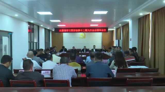 0111水唇镇召开党建述职评议会