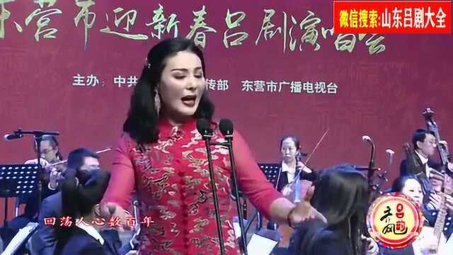 吕剧《悠悠我心》选段强忍耐久徘徊常委会外