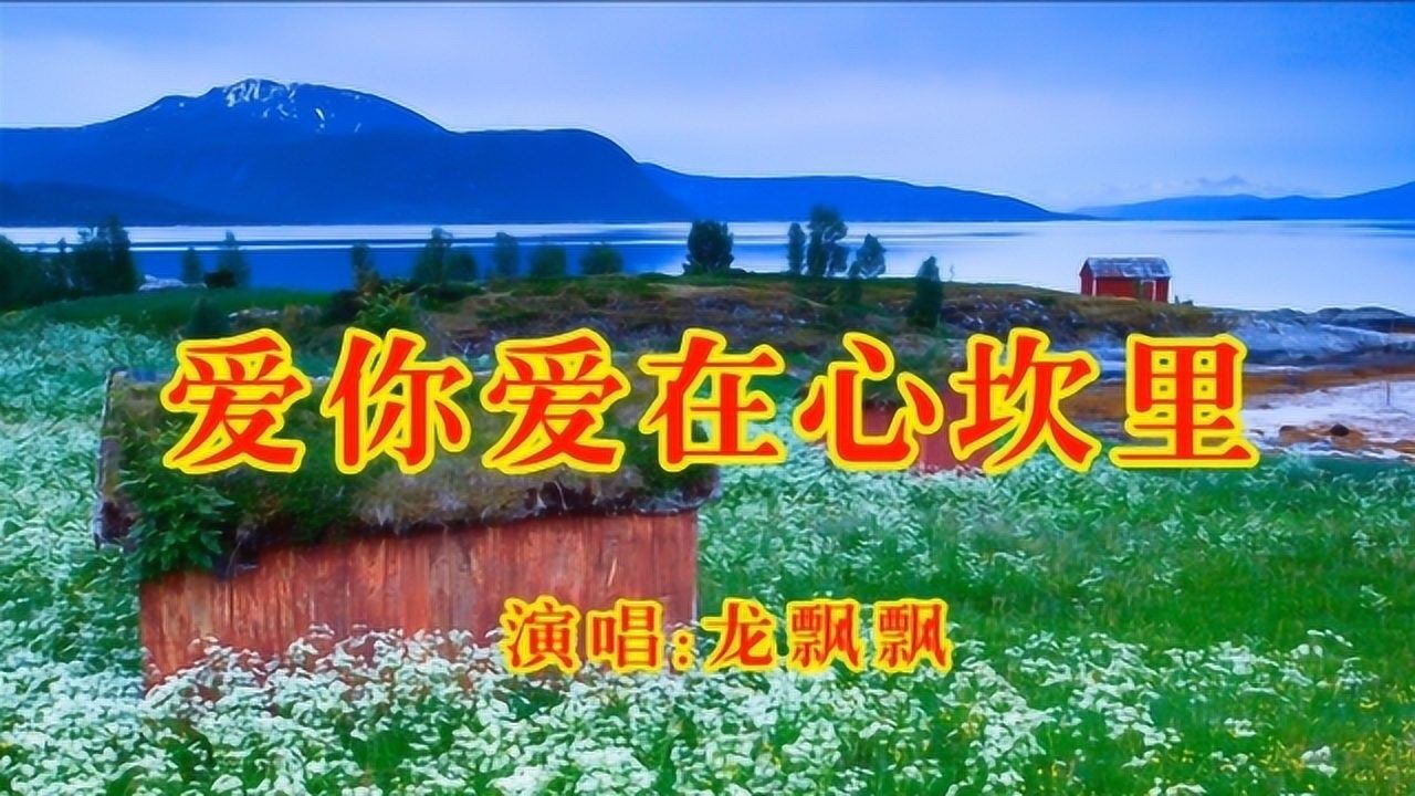 龙飘飘爱你爱在心坎里经典金曲怀旧老歌百听不厌