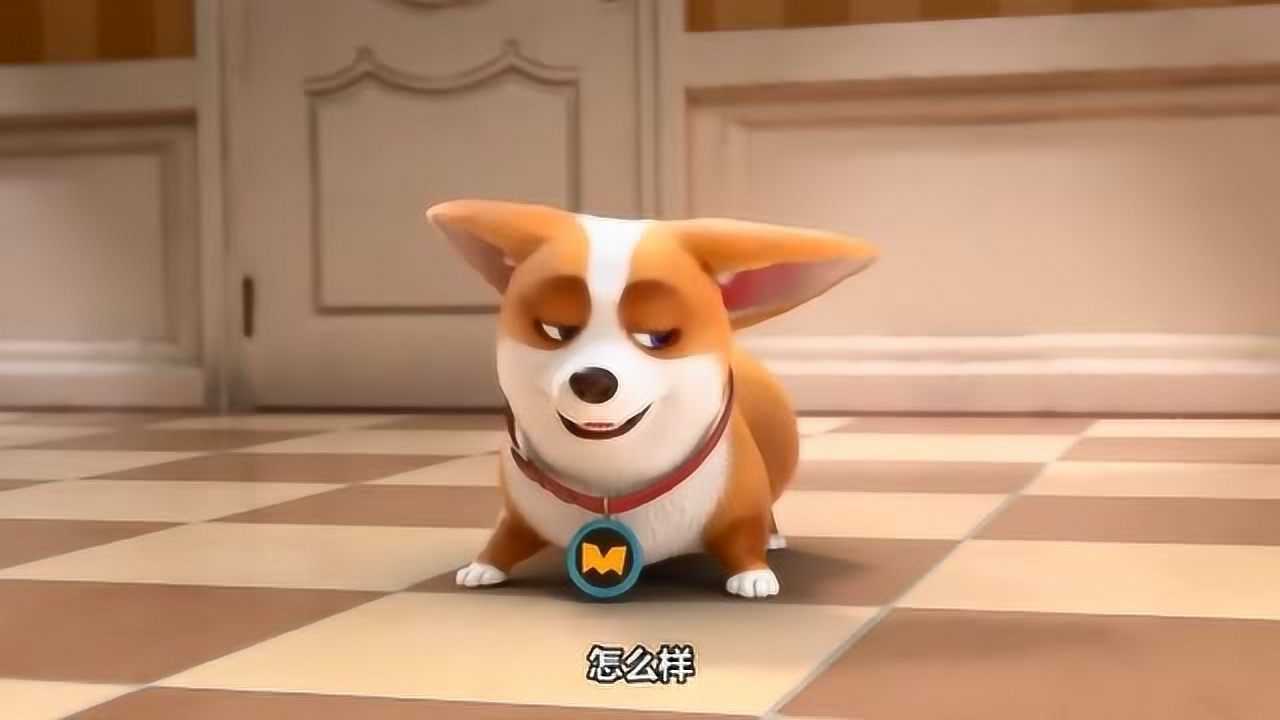 飞狗mocomoco带巴顿训练是为了让它减轻压力后果更严重