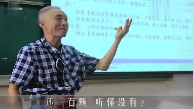 网红教授戴建业诙谐解读苏东坡