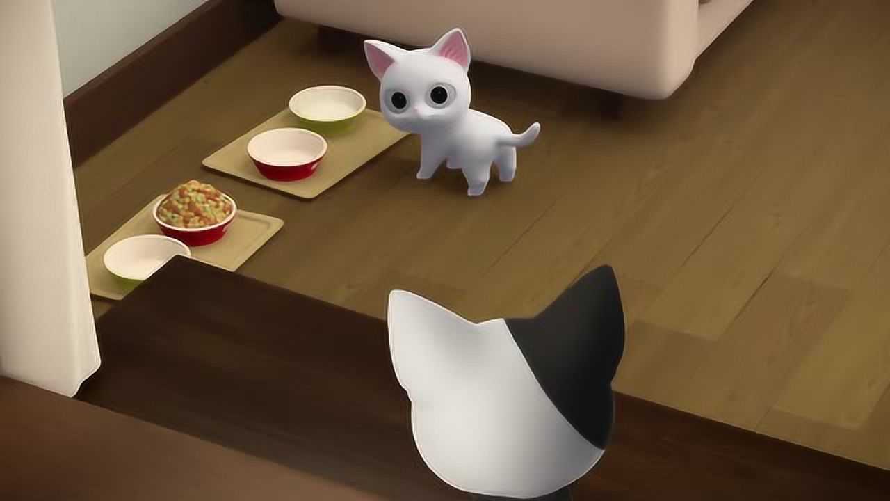 《甜甜私房猫》小白猫,你是可奇的哥哥吗