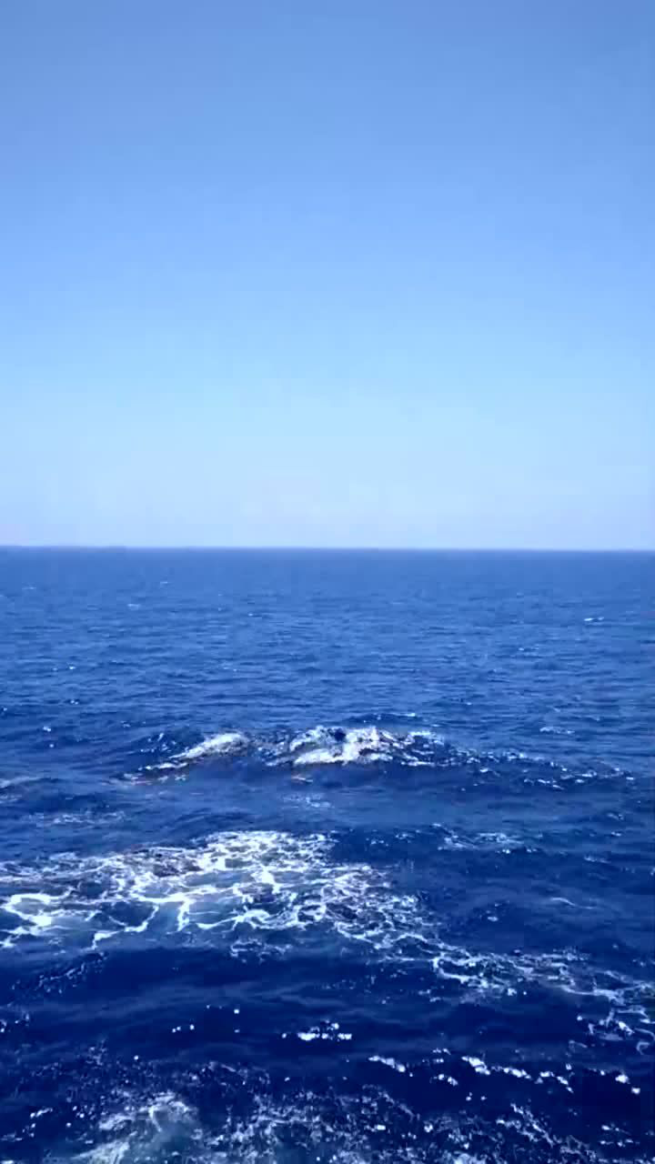 深海恐惧症勿进,虽然大海很美丽,但也很危险