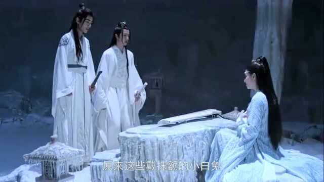 陈情令:蓝湛带魏无羡见族里最厉害的家长了,蓝氏唯一一位的女家主