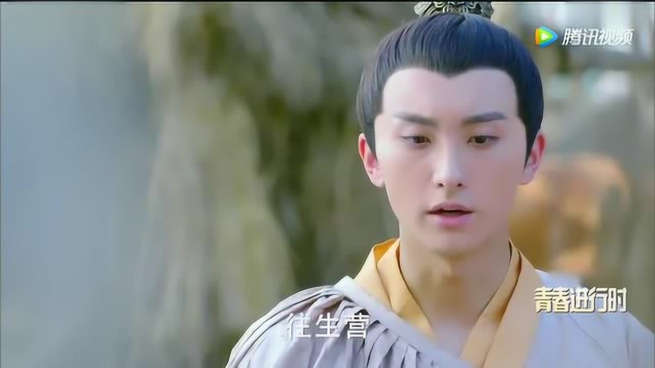 楚乔传蒙枫陪伴元嵩这是要携手隐居山林间