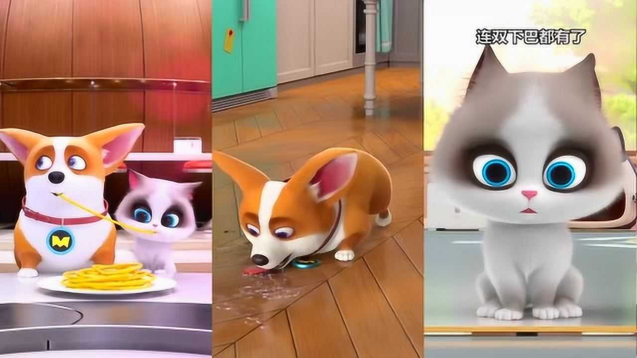 《飞狗moco》yummy感冒了moco想了一个神奇的办法!