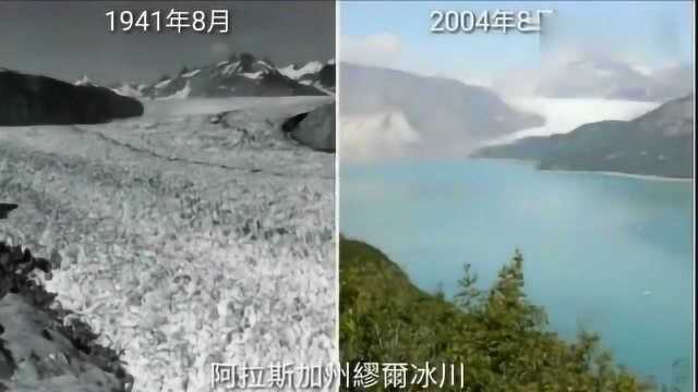 照这样发展下去,再过50年,地球会变成什么样子?