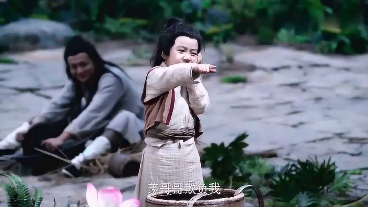 陈情令:魏无羡好委屈,是阿苑自己偷吃莲子,可不能怪你羡哥哥!