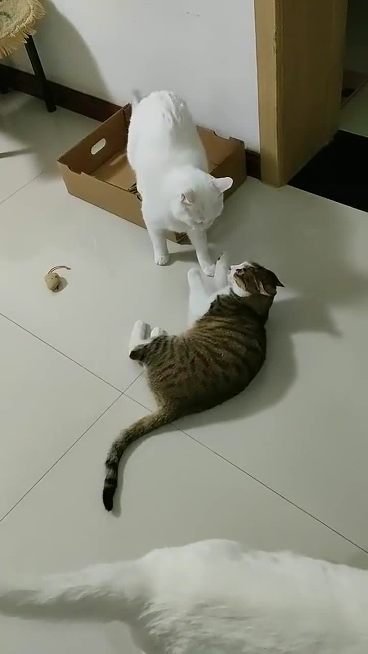 打不过还是智取吧顺势一躺一脚踹开跑