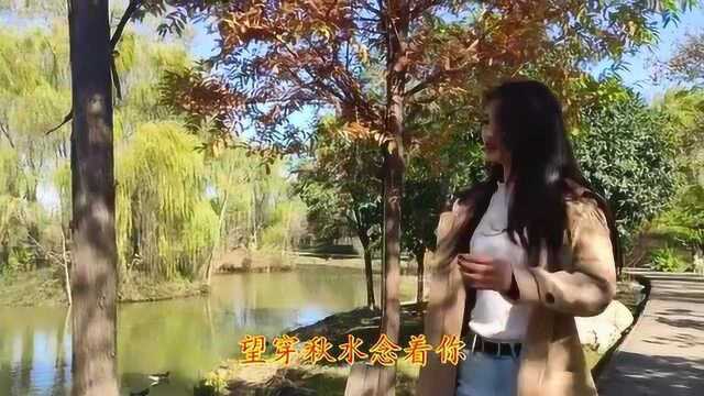 张善为一首《情不自禁爱上你》嗓音超好听,好听感人