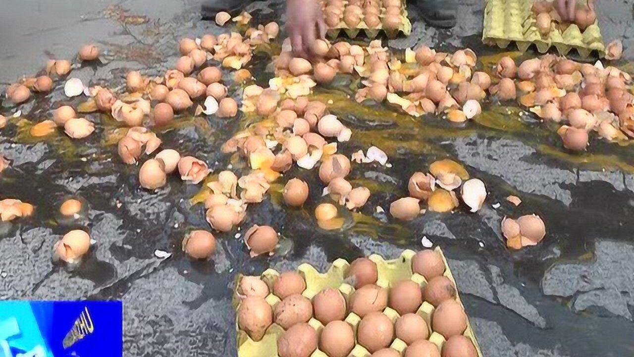 鸡蛋碎了一地众人帮忙