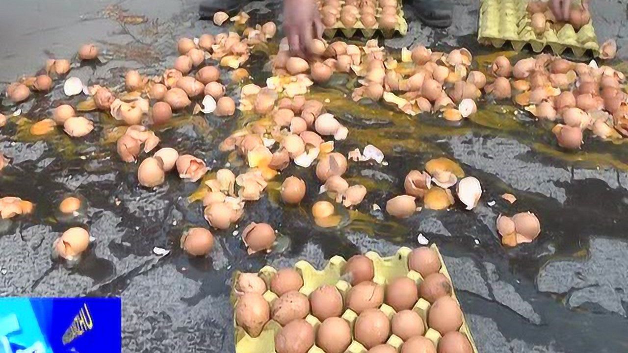 鸡蛋碎了一地众人帮忙