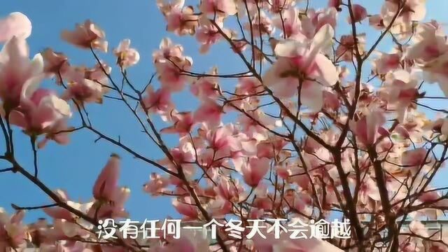 待到春暖花开时