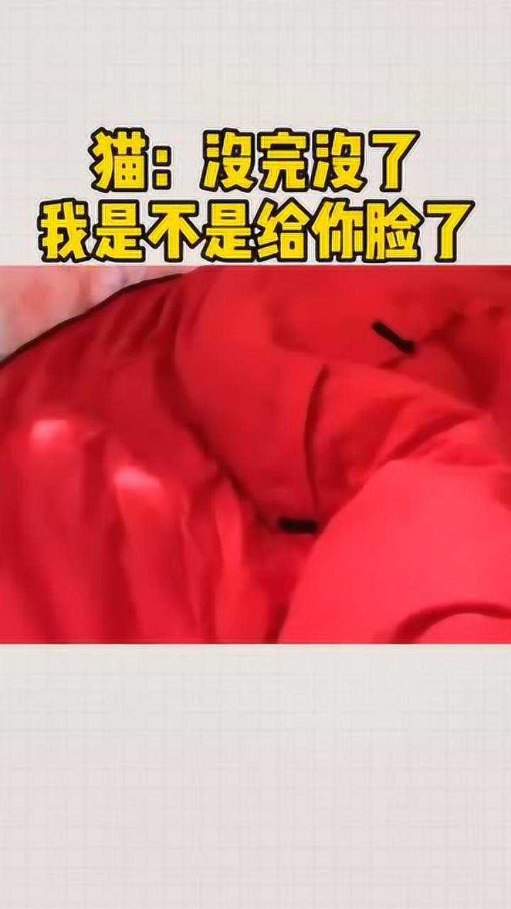 没完没了,我是不是给你脸了