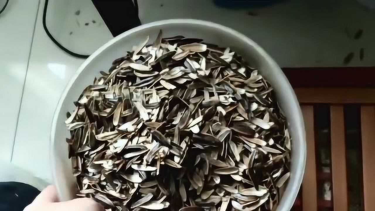 在家的这一个月弟弟居然磕出了一大碗的瓜子皮也太无聊了