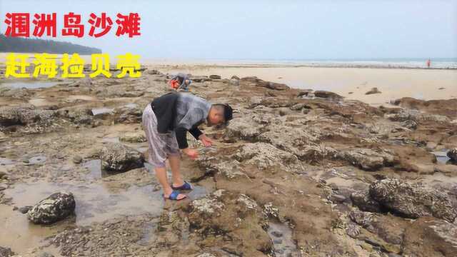 北海涠洲岛,小伙带你去贝壳沙滩赶海捡海鲜,都有些什么好货?