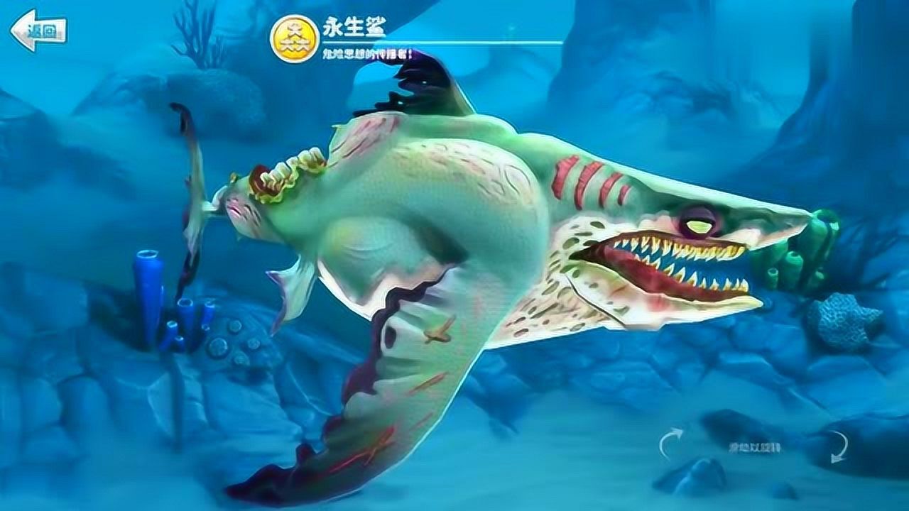 饥饿鲨世界世界解锁永生鲨它的别名是僵尸鲨鱼能变异敌人