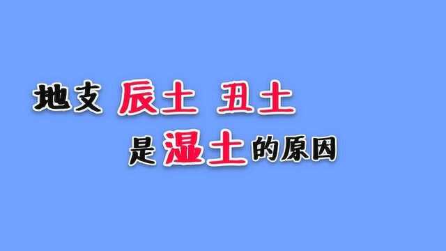 八字命理:从地支藏干的角度分析,地支辰土、丑土是湿土的原因