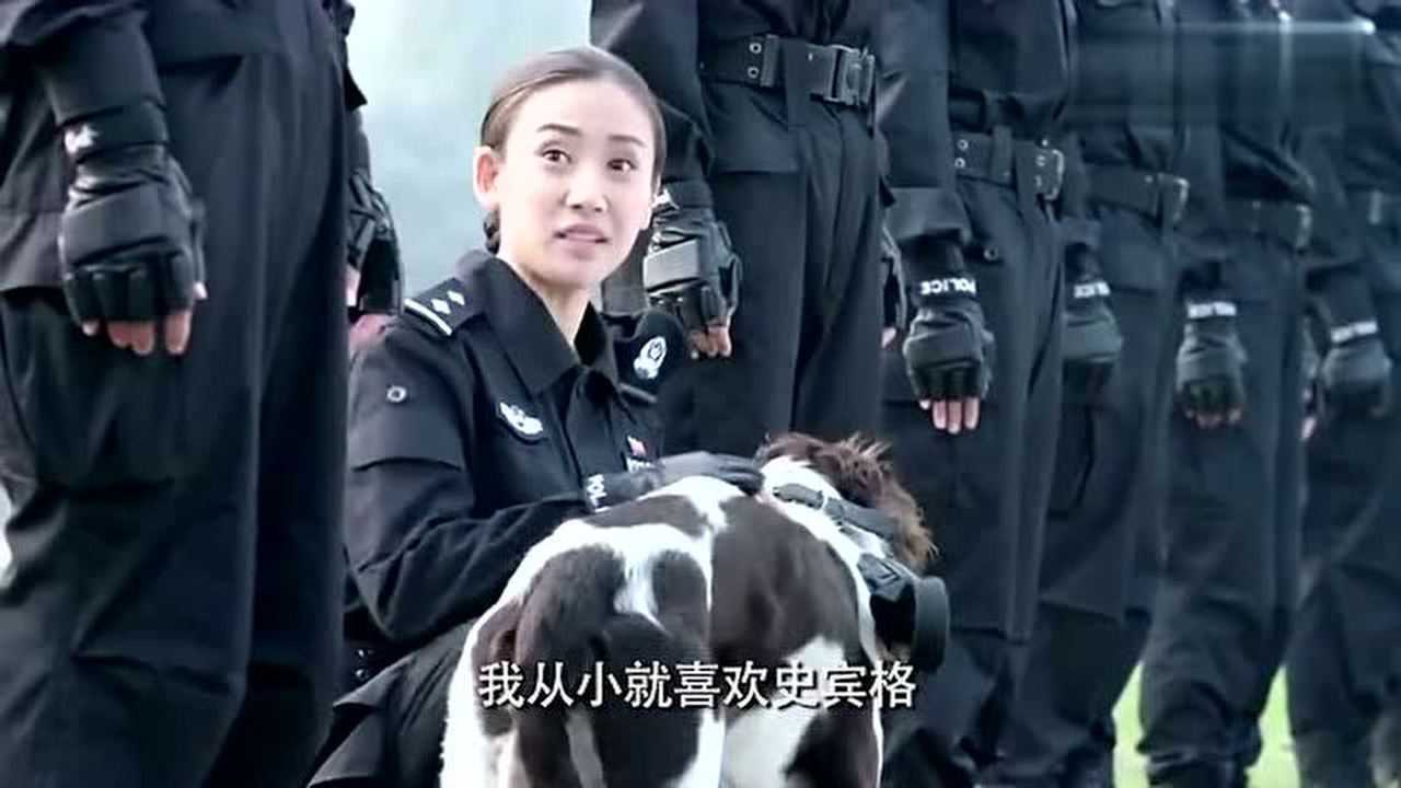 警花与警犬给女警分警犬,唐优优最兴奋,狗的铁杆粉丝!