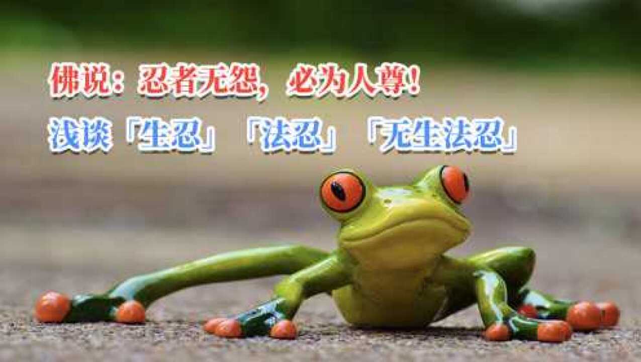 佛说忍者无怨必为人尊浅谈生忍法忍无生法忍