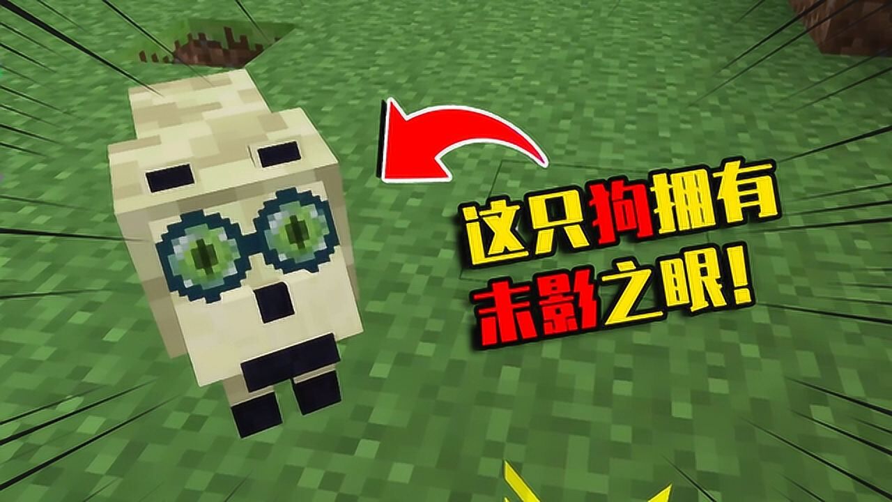 我的世界mod：一只拥有末影之眼的狗，它眼中的世界是什么颜色_高清1080P在线观看平台_腾讯视频