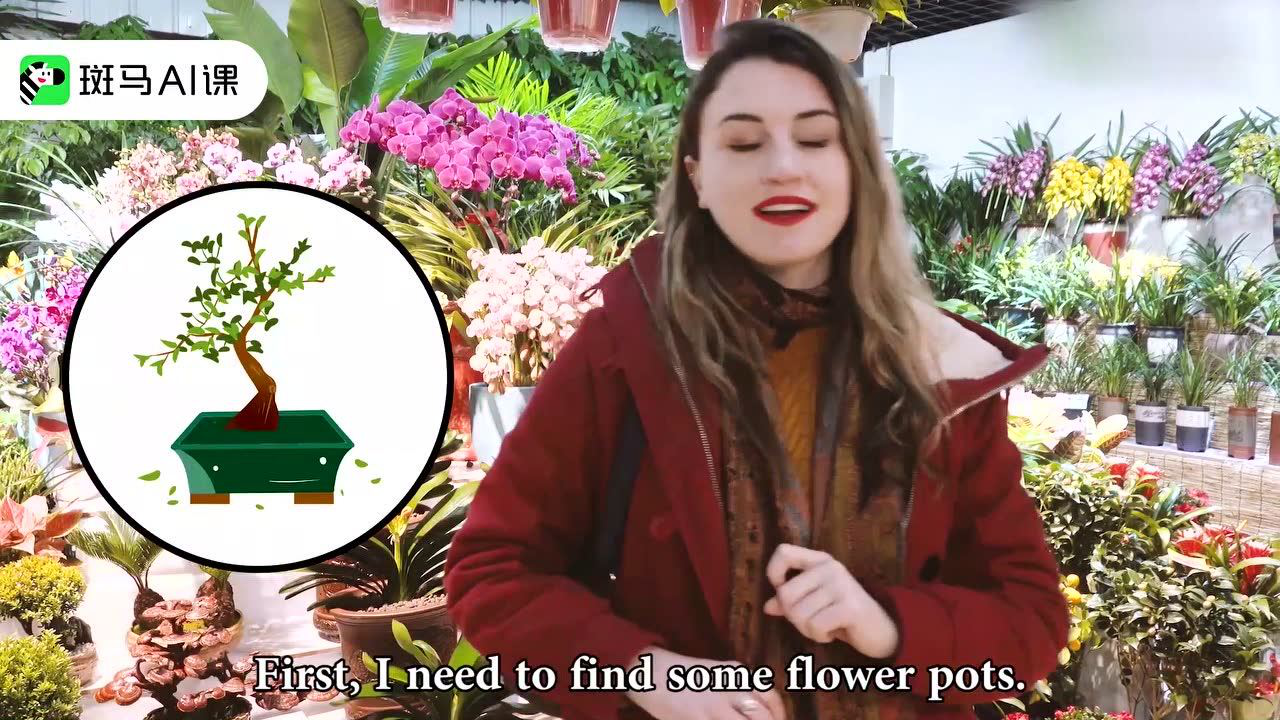斑马看世界 1集