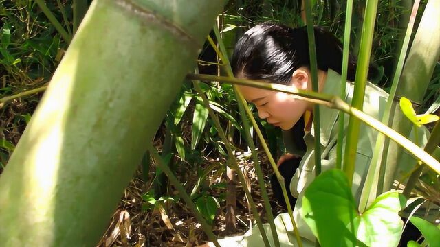 新鲜的竹笋拿来炖鸡最好不过了!妈妈的配方,这道菜我承包了!