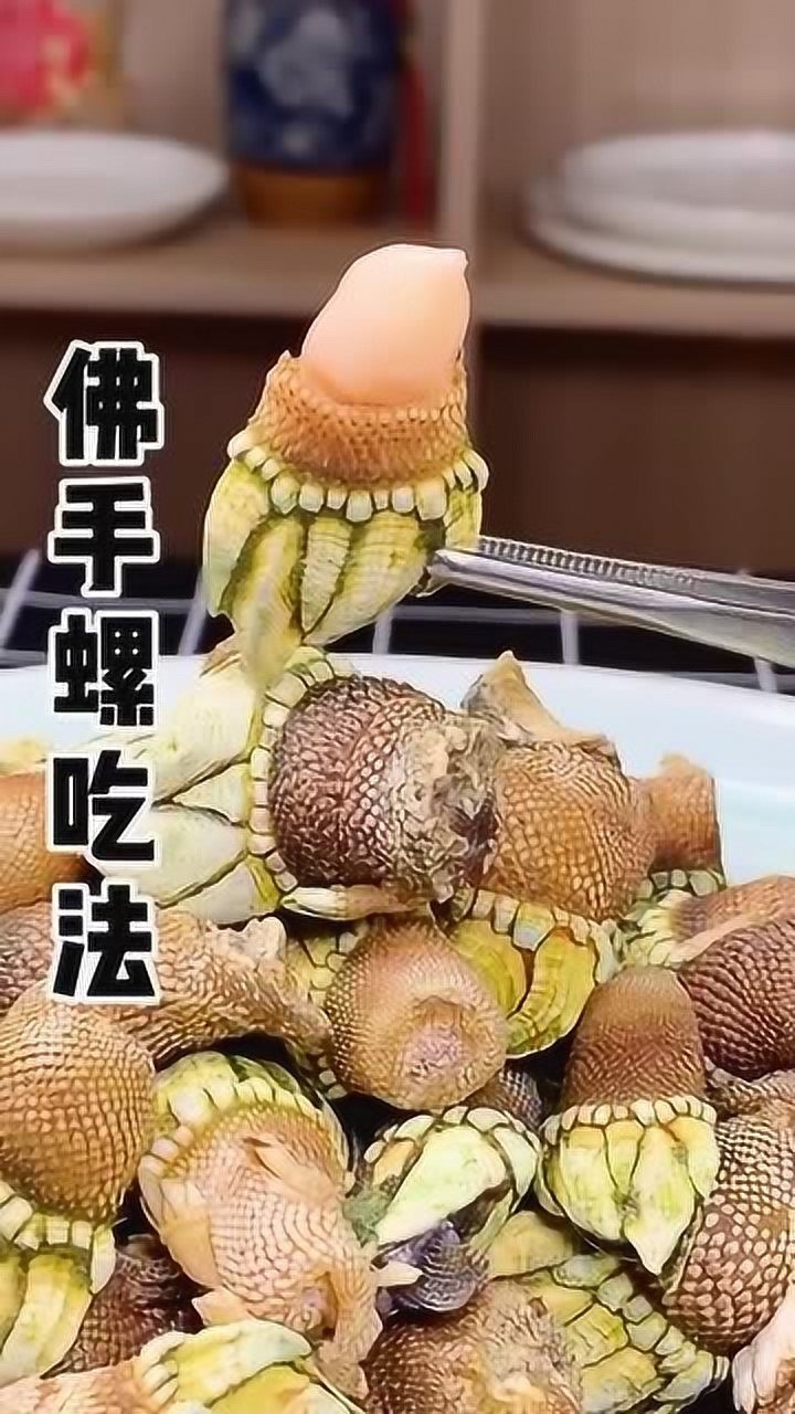 佛手螺怎么吃图解图片