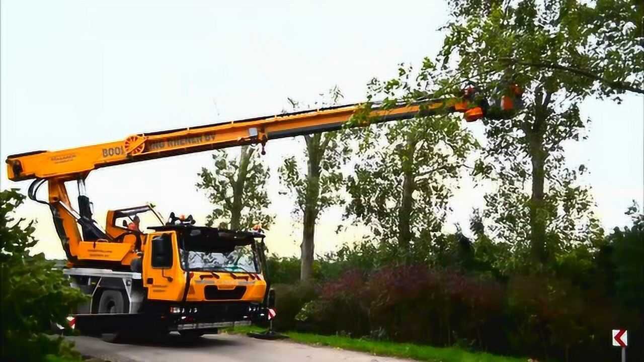 伐木机让砍树变得如此简单