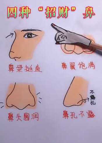 四种"招财"鼻,万里挑一的金贵命!看看你是吗