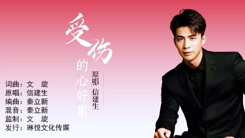 受伤的心好累(男版)词曲：文旋原唱：信建生编曲：秦立新混音：秦立新监制：文旋发行：琳悦文化传媒_高清1080P在线观看平台_腾讯视频