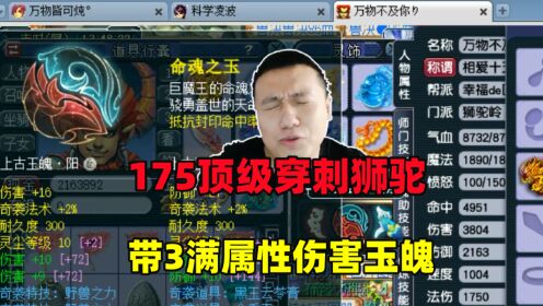 梦幻西游:老王展示175穿刺狮驼,带3伤害玉魄,中途竟遭到顶号?