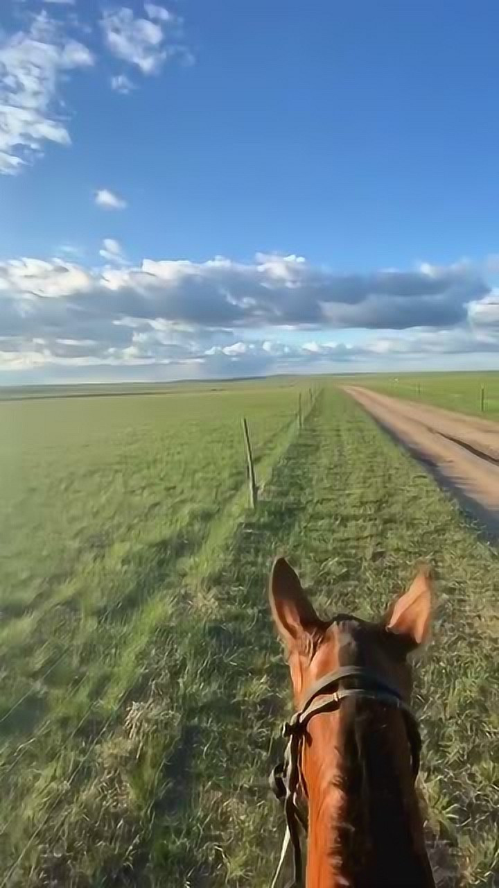 来带你们骑一次马,骑马第一人称视角,太肆意潇洒了啊!