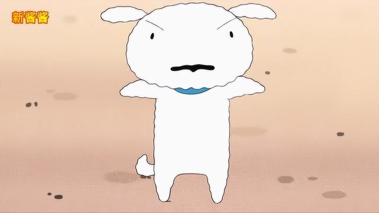 蜡笔小新:小新和朋友们一起训练小白