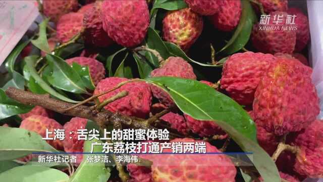 上海:舌尖上的甜蜜体验 广东荔枝打通产销两端