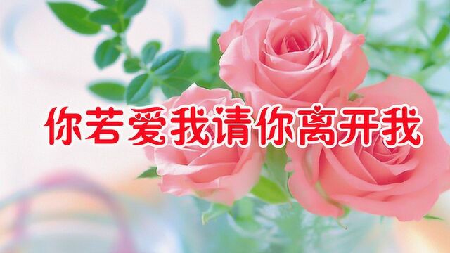 王爱华一首《你要爱我请你离开我》声声委婉动情,值得回味!