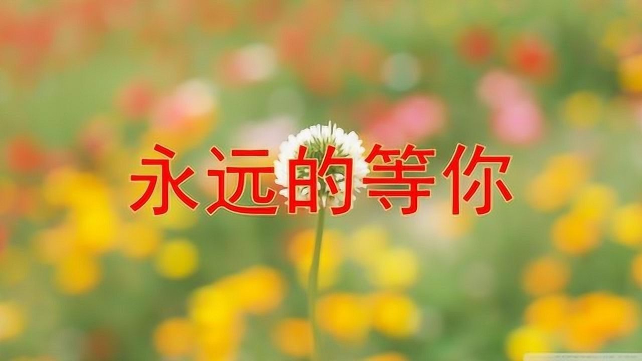 一曲《永远的等你》真好听,百听不厌!