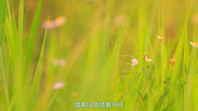 《端午踏青好风光》——好词,好曲,祝大家端午安康(韵飞扬影音制作)